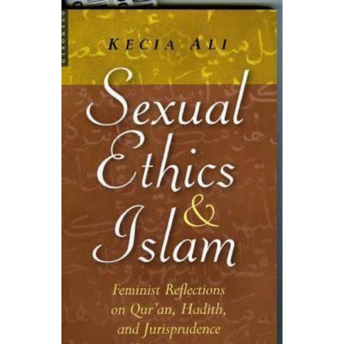 Sexual Ethics and Islam: Feminist Reflections on Qur'an, Hadith, and Jurisprudence