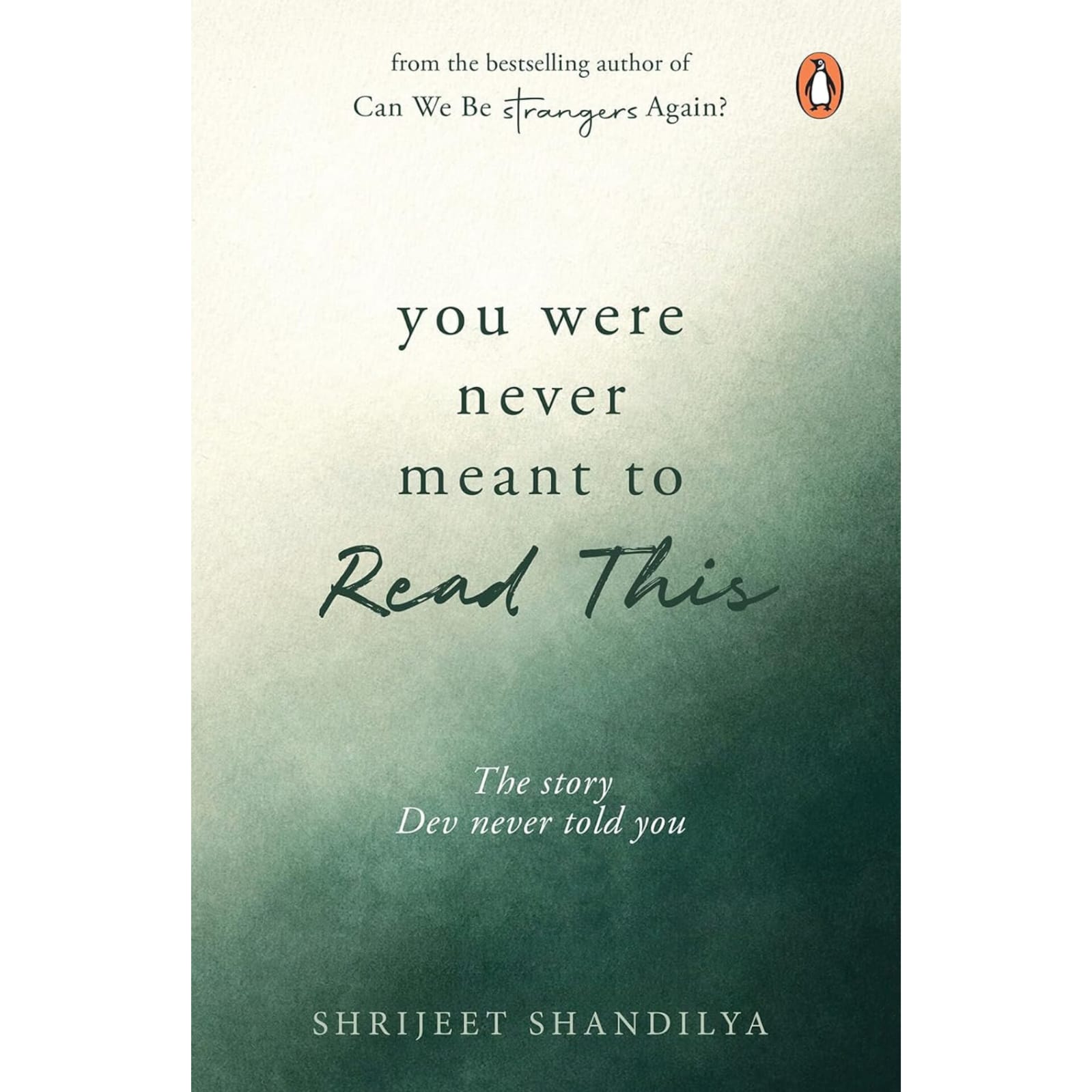 You Were Never Meant To Read This: Return to the World of Can We Be Strangers Again